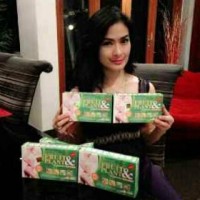 Jual Fruit & Plant - Asli Obat Pelangsing Badan Herbal Murah