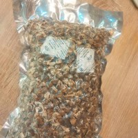 Jual Biji Kelor / La Mu Zi ( vacum kwalitas export) Murah