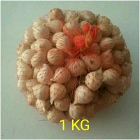 Jual Bawang putih tunggal / bawang lanang Murah