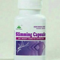 SLIMMING CAPSULE GREEN WORLD/OBAT PELANGSING/DIET