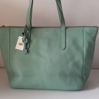 TAS FOSSIL ORI...