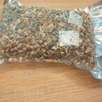 Jual biji kelor/ la mu tje 250gr Murah