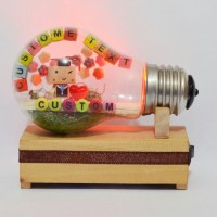 Jual Lampu Hias Danbo Dalam Bohlam Kado Wisuda Unik Bisa Menyala Murah