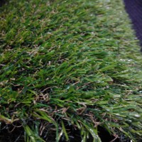 Permadani Rumput Karpet Sintetis Jepang, Untuk Gedung, Kantor, Dll