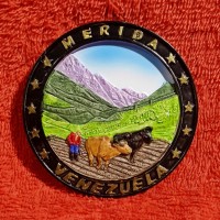 oleh oleh khas magnet kulkas negara venezuela