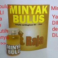 Jual MINYAK BULUS ASLI | MINYAK BULUS KALIMANTAN | MINYAK BULUS ORI Murah