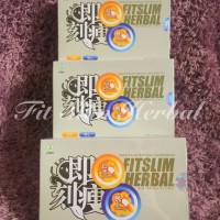 Jual Paket Obat Pelangsing Fit Slim Herbal Murah