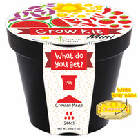 Jual Sunflower Mini Grow Kit Writable Sticker/ Benih Sunflower Murah