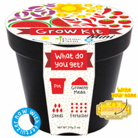Jual Sunflower Mini Grow Kit Writable Sticker With Fertilizer Murah