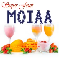 MOIA | MOYA | MOIAA Premix Silky Pudding | Puding Sutra lembut promo