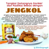 Jual RENDANG JENGKOL, KALIO JARIANG MAGEK. Murah