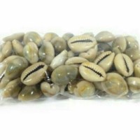 Jual Biji Congklak (100 pcs) Murah