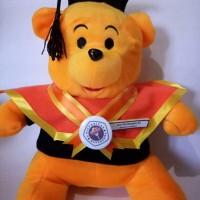 Jual Boneka Wisuda Winnie The Pooh | Boneka Wisuda Pooh |Hadiah wisuda Murah