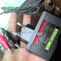 Charger Casan Isi Ulang Aki Accu Kering 12 Volt dan Tester Lampu Led
