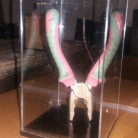 box acrylic tempat patung ukuran p15 l15 t 18