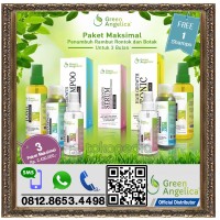 Jual BONUS 1 SHAMPO UNTUK PEMBELIAN 3 PAKET PENUMBUH RAMBUT GREEN ANGELICA Murah