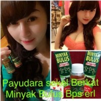 MINYAK BULUS bps erl (Cocok untuk Pria & Wanita)