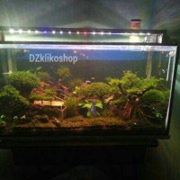 Jual LAMPU LED DIY AQUASCAPE AQUARIUM 80CM 80 CM Murah