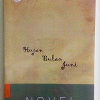 Novel Hujan Bulan Juni - Sapardi Djoko Damono