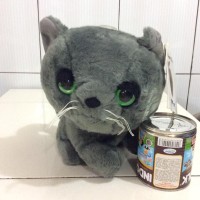 Katalog Kucing Russian Blue Katalog.or.id Katalog Kucing Russian Blue Katalog.or.id
