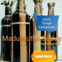 Jual MADU HUTAN BADUY ASLI DAN MURNI Murah