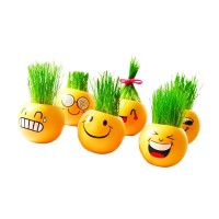 Jual Plantercraft Emoji Plant Grass Doll Boneka Tanaman Rumput Murah