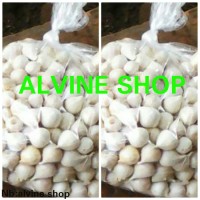 Jual bawang putih tunggal/bawang lanang Murah