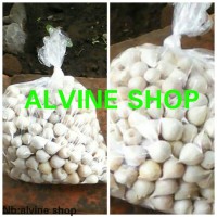 Jual bawang putih tunggal/bawang lanang Murah