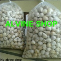 Jual Bawang putih tunggal alami/Bawang lanang Alami Murah