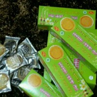 Jual PIE SUSU DHIAN (Halal) 10 pcs Murah
