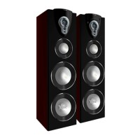Polytron PAS 38 Speaker Aktif XBR - USB Mp3 Player Karaoke - FM Radio