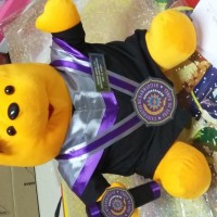Jual boneka wisuda winnie the pooh 40cm Murah