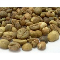 Jual Green Bean Kopi Coffee Robusta Lampung Grade 2 Premium 1Kg Murah