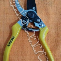 Jual GUNTING DAHAN/RANTING BESAR (PROHEX) Murah