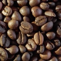 Jual Kopi ROBUSTA Sidikalang - Biji / Bean Murah