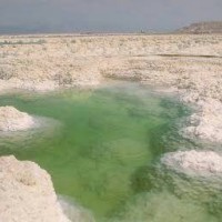 Jual Dead Sea Salt 100gr Murah