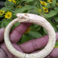 gelang akar bahar putih ukir naga