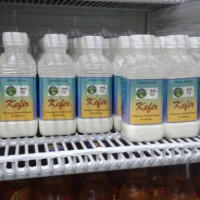 Jual Kefir Milk 100% Yoghurt Susu 250 ml Murah