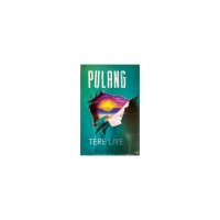 BARU | Novel Pulang Tere Liye