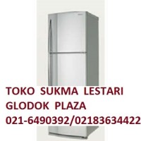 Toshiba Lemari Es 2 Pintu GR R25ET