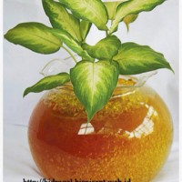 Jual hydrogel yellow Murah