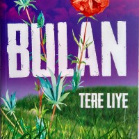 Novel Bulan Tere Liye