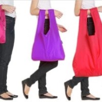Jual Baggue jumbo Baggu bags tas kantong belanja lipat pengganti kresek5 Murah