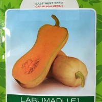 Harga Termurah Prune Candy Permen Kiamboi Karamel Gula Merah Source · Benih Butternut Squash Labu Kacang