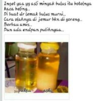 Jual MINYAK BULUS ASLI ORIGINAL / ORI / PEMBESAR PAYUDARA KEMASAN 10 ml Murah