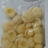 Jual Manisan Buah Salak Basah Manis Murah