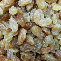 Jual Sukan Golden Raisins (Kismis 1kg) Murah