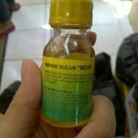 Minyak bulus Nori