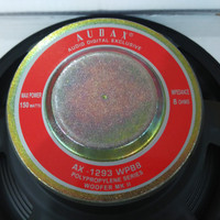 Speaker 12