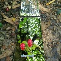 Jual Tempered mirror glass SONY Xperia Z,Z1,Z2,Z3,Z3+,Z5 Murah